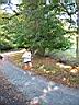lauf11.jpg